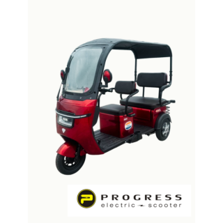 Elektrinis triratis PROGRESS 800W 60V 20Ah HSHT007RTR