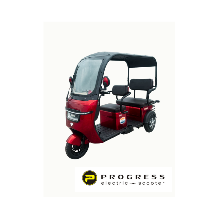 Elektrinis triratis PROGRESS 800W 60V 20Ah HSHT007RTR