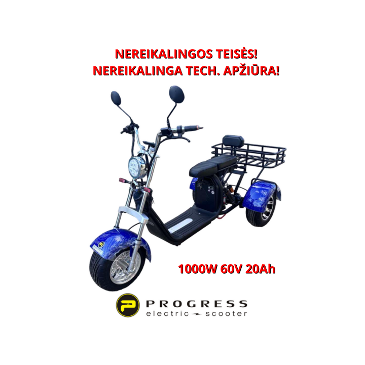 Elektrinis triratis CityCoco 1000W 60V 20Ah HSHT002M