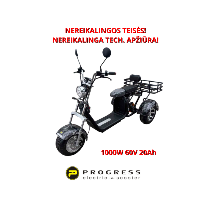 Elektrinis triratis CityCoco 1000W 60V 20Ah HSHT002JZ
