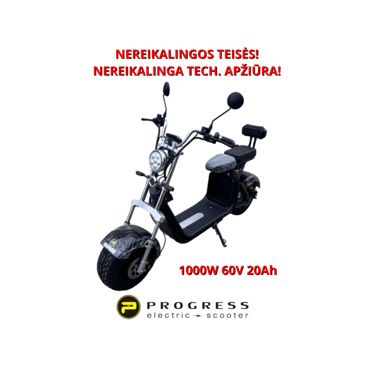 Elektrinis paspirtukas Citycoco 1000W 60V 20ah HSHT009J