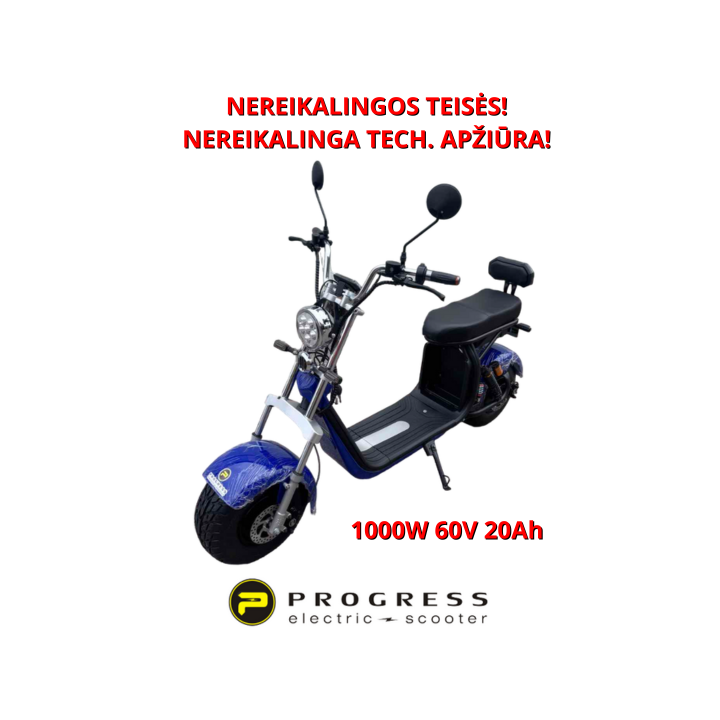 Elektrinis paspirtukas Citycoco 1000W 60V 20ah HSHT013M