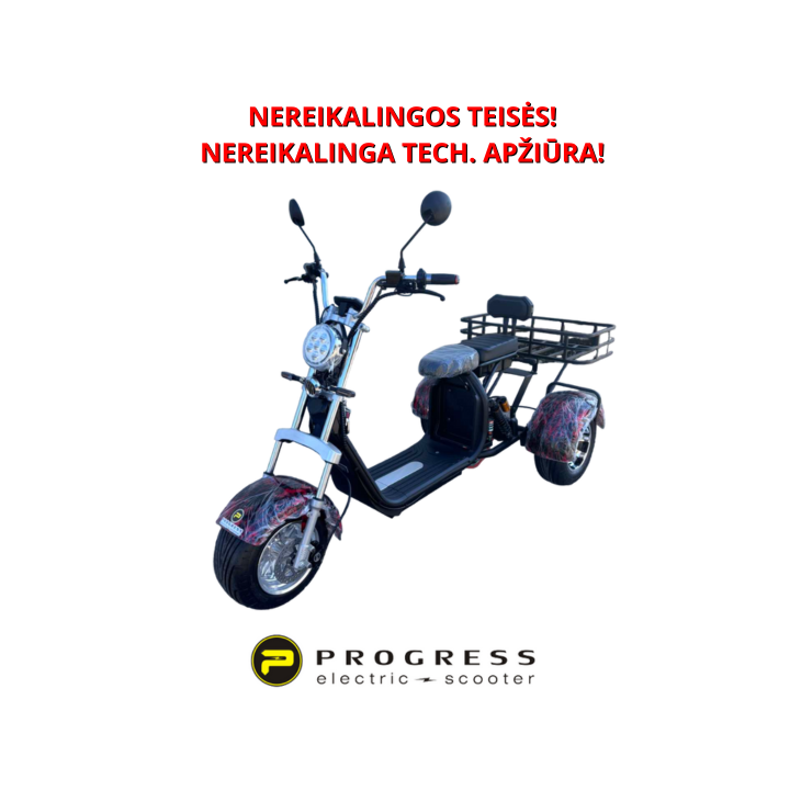 Elektrinis triratis CityCoco 1000W 60V 20Ah HSHT002RL