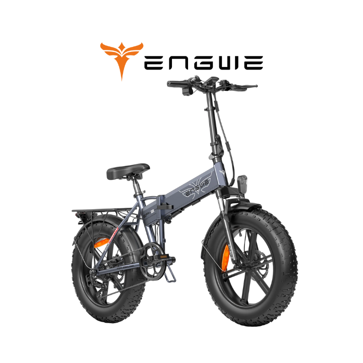 Elektrinis dviratis ENGWE EP-2RPO 750W 13Ah