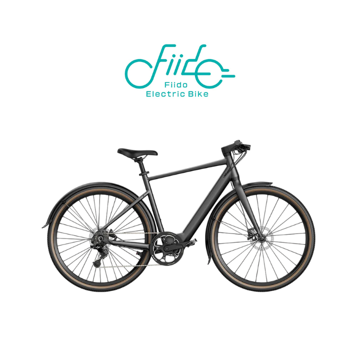 Elektrinis dviratis FIIDO C21 GREY L 250W 36V, 5,8Ah FC21L