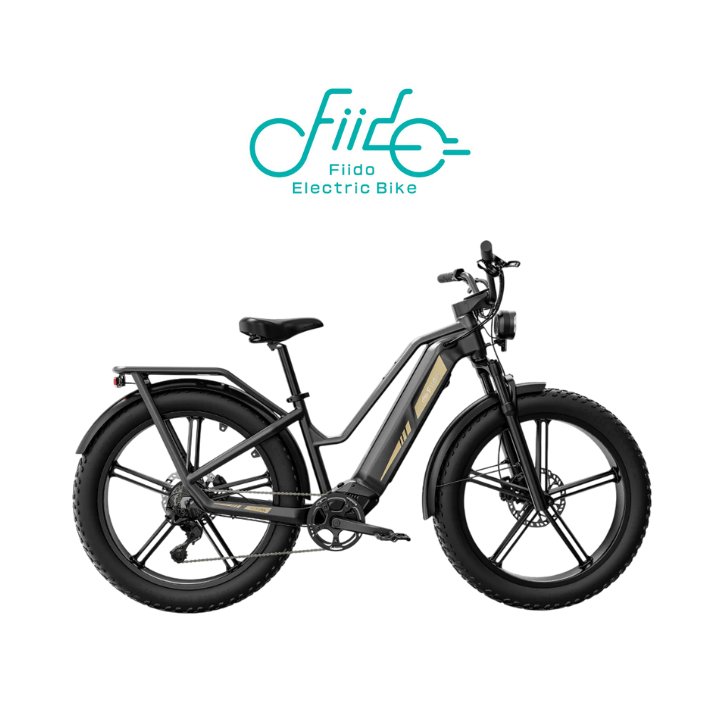 Elektrinis dviratis FIIDO Titan M25 750W 48V 14.5Ah TITM25
