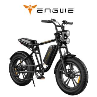 Elektrinis dviratis ENGWE 750W 48V 13Ah M20S