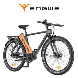 Elektrinis dviratis ENGWE P275 PRO 250W 36V 19.2Ah P275PRO