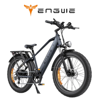 Elektrinis dviratis ENGWE E26 250W 48V 16Ah Juodas