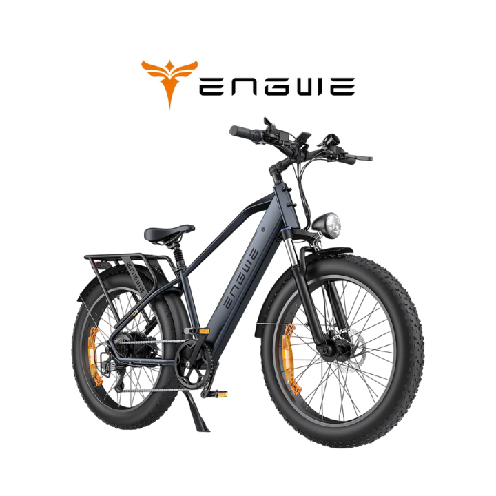 Elektrinis dviratis ENGWE E26 250W 48V 16Ah Juodas