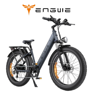 Elektrinis dviratis ENGWE E26 ST 250W 48V 16Ah Juodas