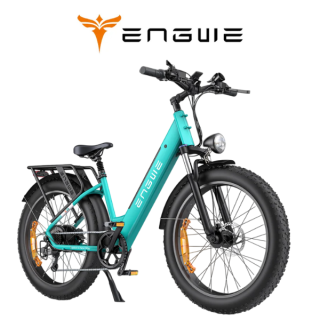 Elektrinis dviratis ENGWE E26 ST 250W 48V 16Ah Mėlyna