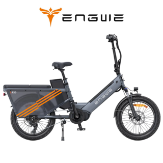 Elektrinis dviratis ENGWE LE20 250W 48V 19.2Ah Pilkas