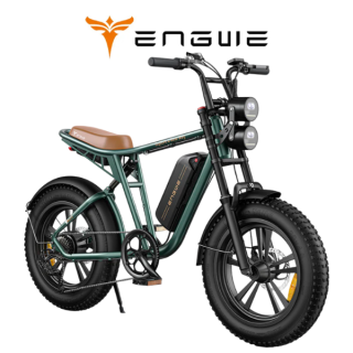 Elektrinis dviratis ENGWE M20 750W 48V 13Ah Žalias
