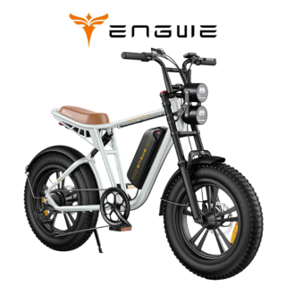 Elektrinis dviratis ENGWE M20 750W 48V 13Ah Baltas