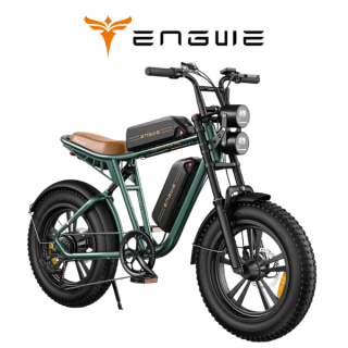 Elektrinis dviratis ENGWE M20 750W 48V 2 baterijos 13Ah+13Ah Žalias