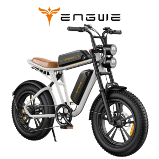 Elektrinis dviratis ENGWE M20 750W 48V 2 baterijos 13Ah+13Ah Baltas