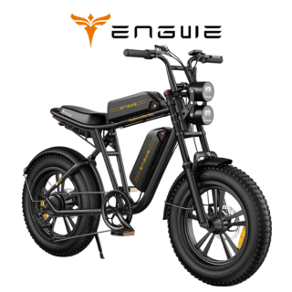 Elektrinis dviratis ENGWE M20 750W 48V 2 baterijos 13Ah+13Ah Juodas