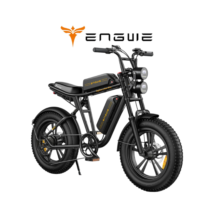 Elektrinis dviratis ENGWE M20 750W 48V 2 baterijos 13Ah+13Ah Juodas