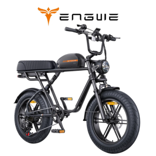 Elektrinis dviratis ENGWE M1 250W 48V 15.6Ah Juoda