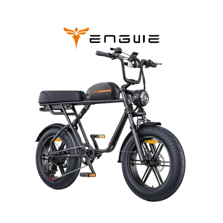 Elektrinis dviratis ENGWE M1 250W 48V 15.6Ah Juoda