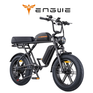 Elektrinis dviratis ENGWE M1 250W 48V 2 baterijos 15.6Ah+13Ah Juodas