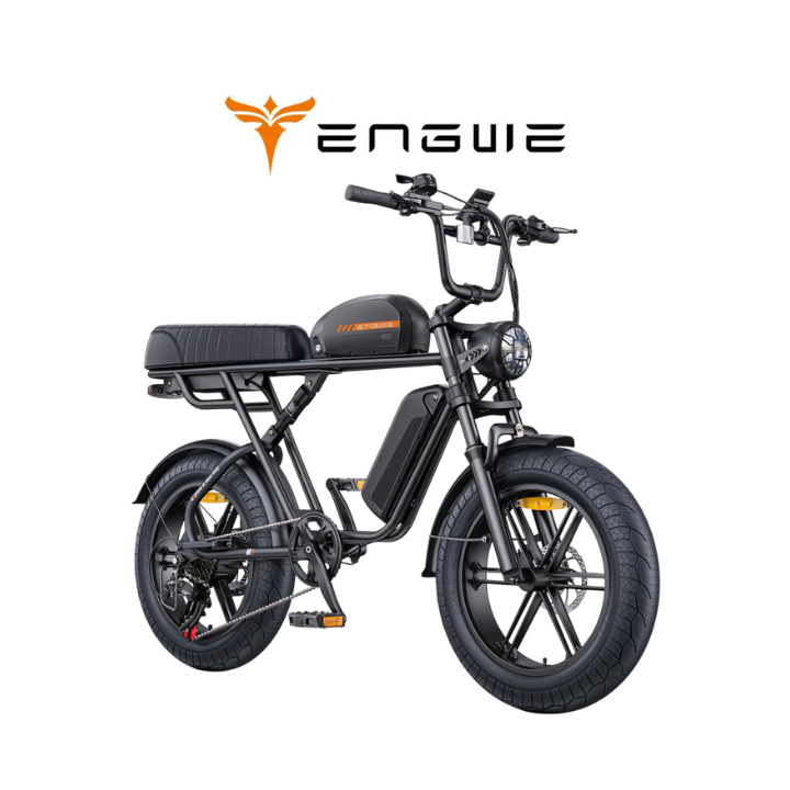 Elektrinis dviratis ENGWE M1 250W 48V 2 baterijos 15.6Ah+13Ah Juodas