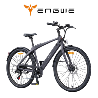 Elektrinis dviratis ENGWE N1 AIR 250W 36V 10Ah Pilka