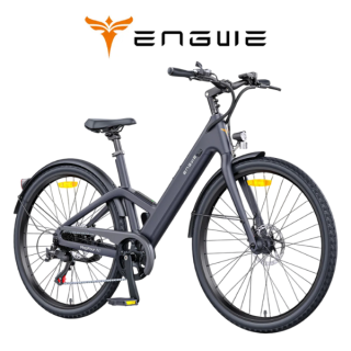 Elektrinis dviratis ENGWE N1 AIR ST 250W 36V 10Ah Pilka