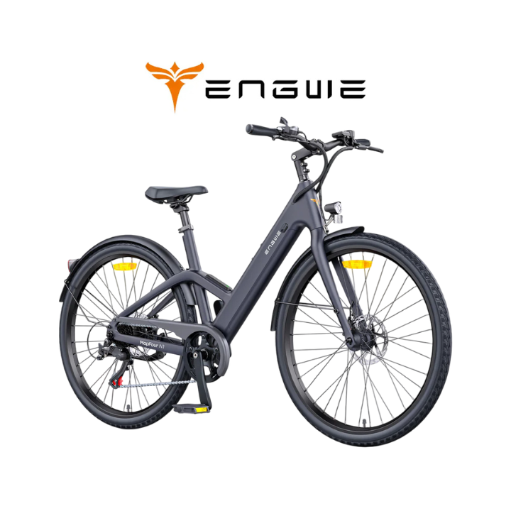 Elektrinis dviratis ENGWE N1 AIR ST 250W 36V 10Ah Pilka