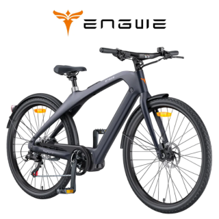 Elektrinis dviratis ENGWE N1 PRO 250W 36V 10Ah Pilka