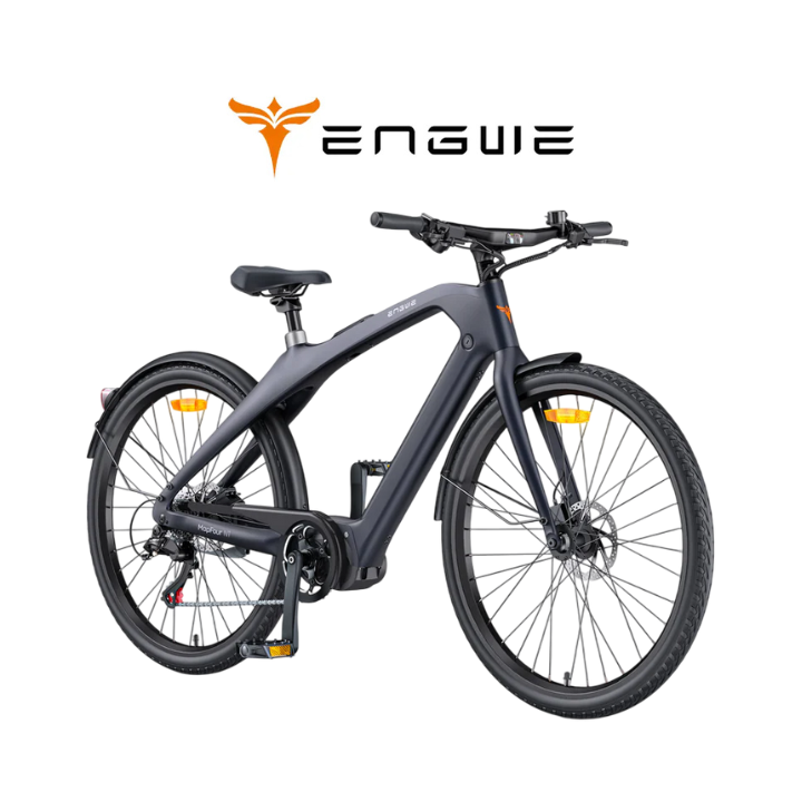 Elektrinis dviratis ENGWE N1 PRO 250W 36V 10Ah Pilka