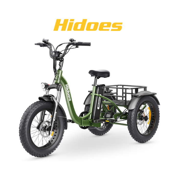 Elektrinis triratis HIDOES ET1 750W 48V 20Ah