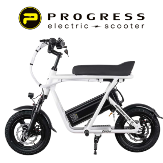 ELEKTRINIS DVIRATIS PAONAGO RRSE 350W 10.4Ah