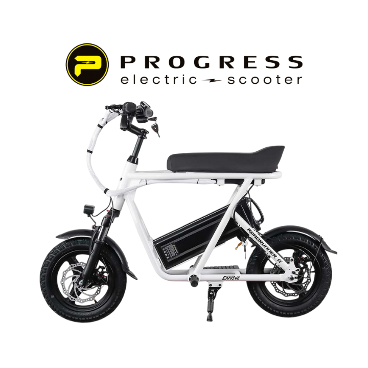 ELEKTRINIS DVIRATIS PAONAGO RRSE 350W 10.4Ah