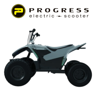 ELEKTRINIS KETURRATIS VAIKAMS PAONAGO TC DQ-500 500W 7.0Ah