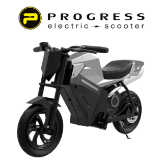 ELEKTRINIS MOTOCIKLAS VAIKAMS PAONAGO ADV250 250W 5.2Ah