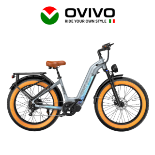 Elektrinis dviratis OVIVO HYPER V6 250W 48V 20Ah V6SILV