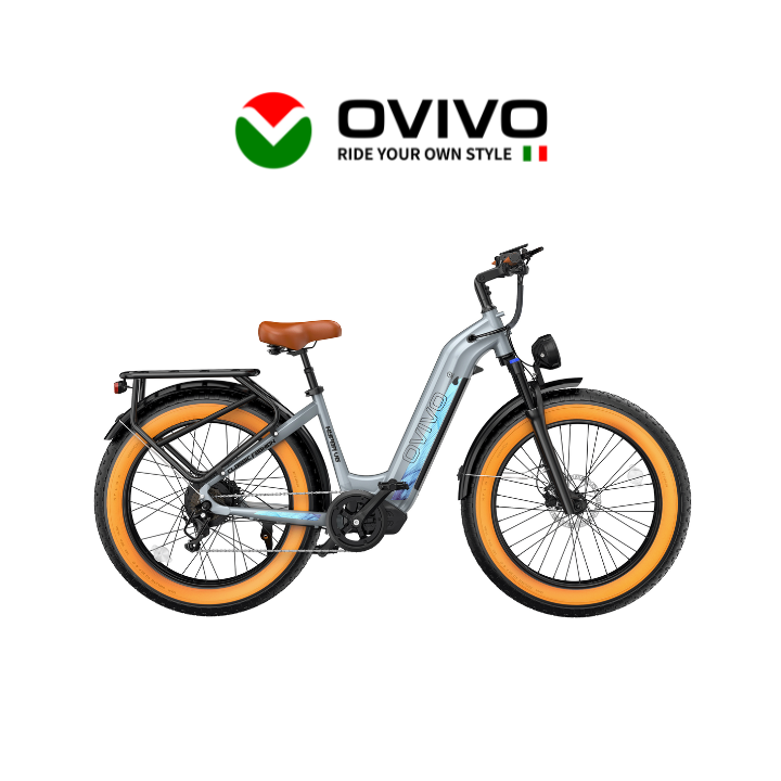 Elektrinis dviratis OVIVO HYPER V6 250W 48V 20Ah V6SILV