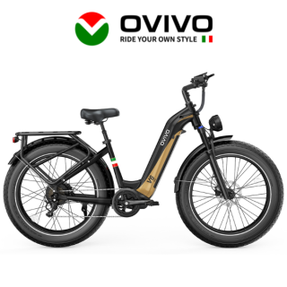 Elektrinis dviratis OVIVO V6 PRO 250W 48V 20Ah V6PROBA