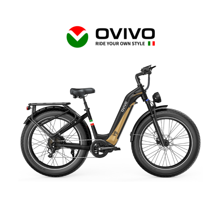 Elektrinis dviratis OVIVO V6 PRO 250W 48V 20Ah V6PROBA