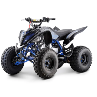Benzininis keturratis ATV012  Draconis 125CC (elektrinis starteris)