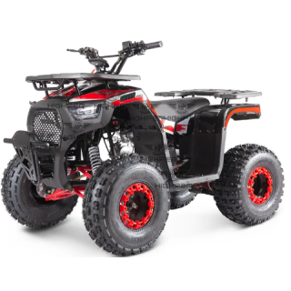 Benzininis keturratis ATV009 125CC (elektrinis starteris)