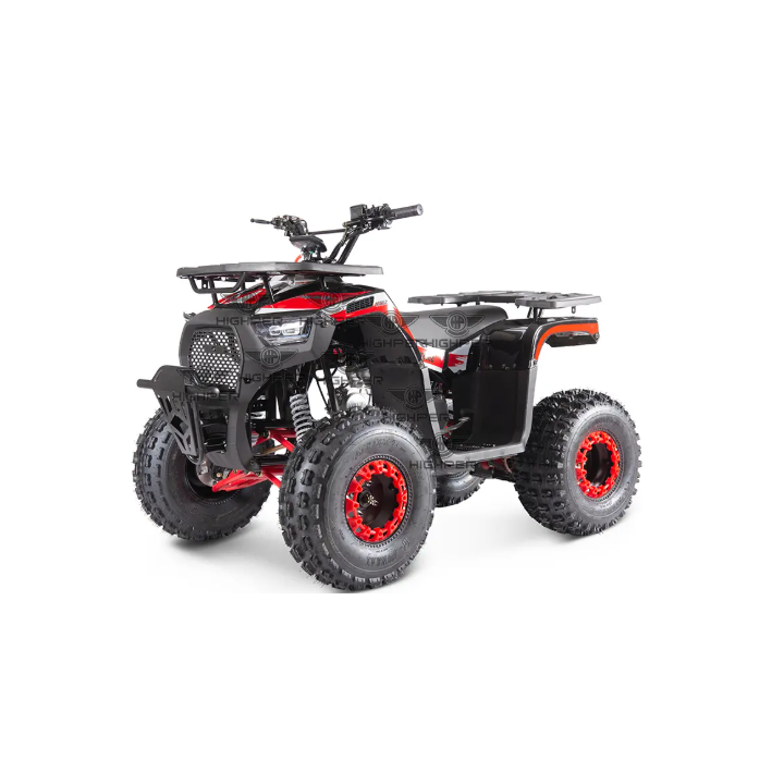 Benzininis keturratis ATV009 125CC (elektrinis starteris)