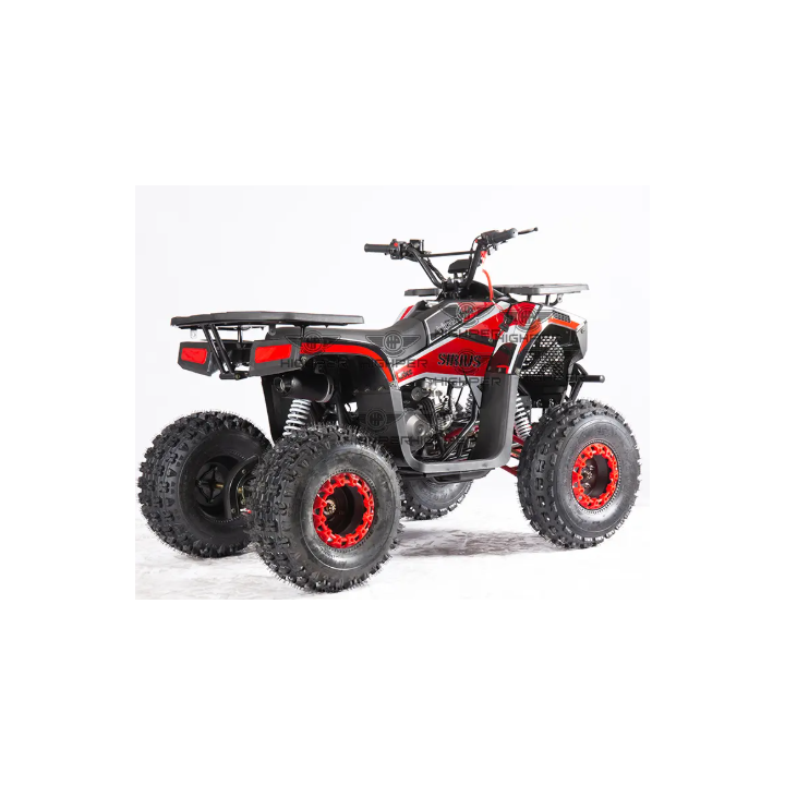Benzininis keturratis ATV009 125CC (elektrinis starteris)