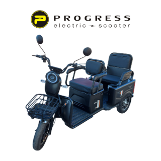 Elektrinis triratis Progress 500W 48V 20ah PG006500W48V20B