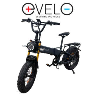 Elektrinis dviratis Evelo 750W 48V 15Ah EV003 Pilkas