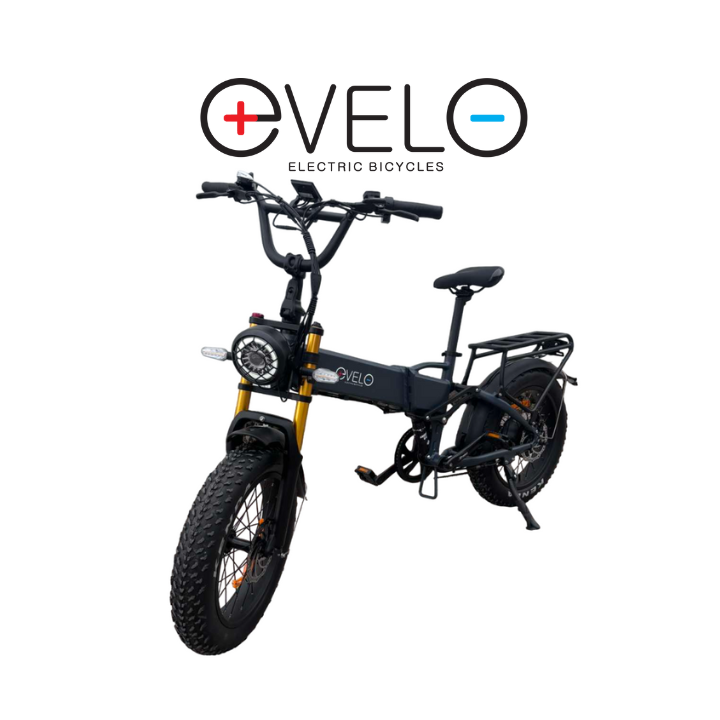 Elektrinis dviratis Evelo 750W 48V 15Ah EV003 Pilkas
