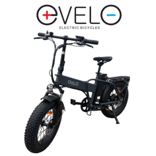 Elektrinis dviratis Evelo 750W 48V 15Ah EV005 Pilkas