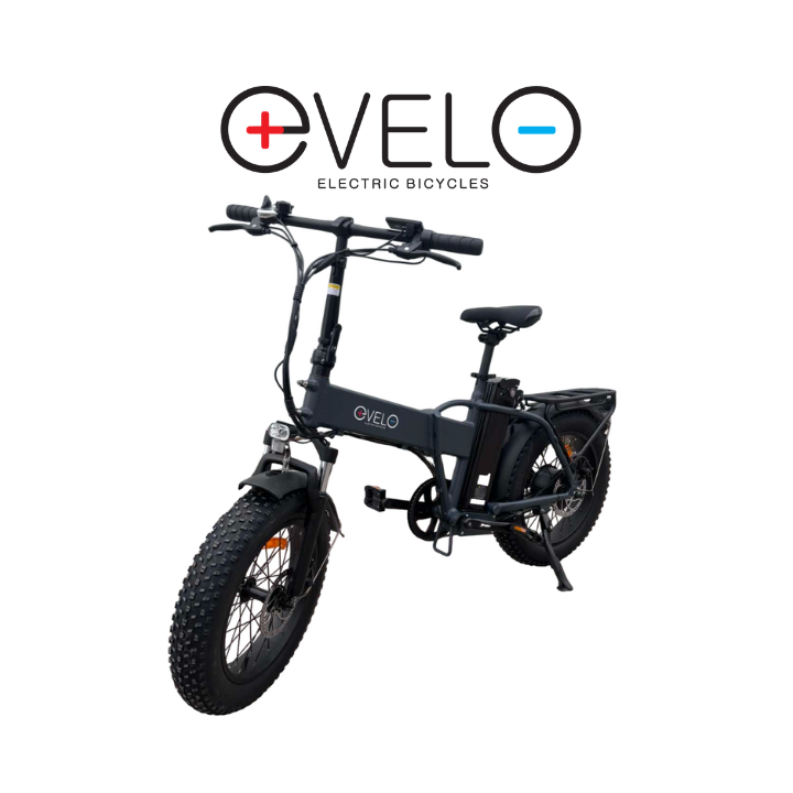 Elektrinis dviratis Evelo 750W 48V 15Ah EV005 Pilkas